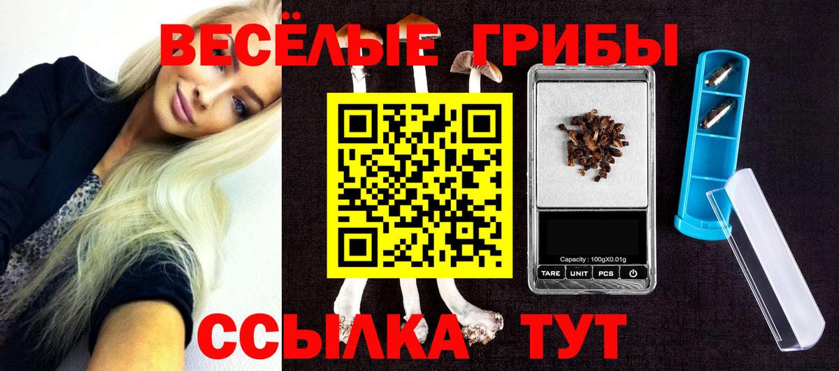 Галлюциногенные грибы Magic Shrooms Богородск